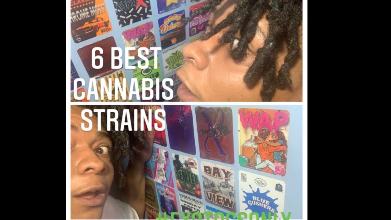 EXOTICS ONLY 🛸 | Top 6 Strongest Exotic Cannabis Strains| Highest Thc% #top6