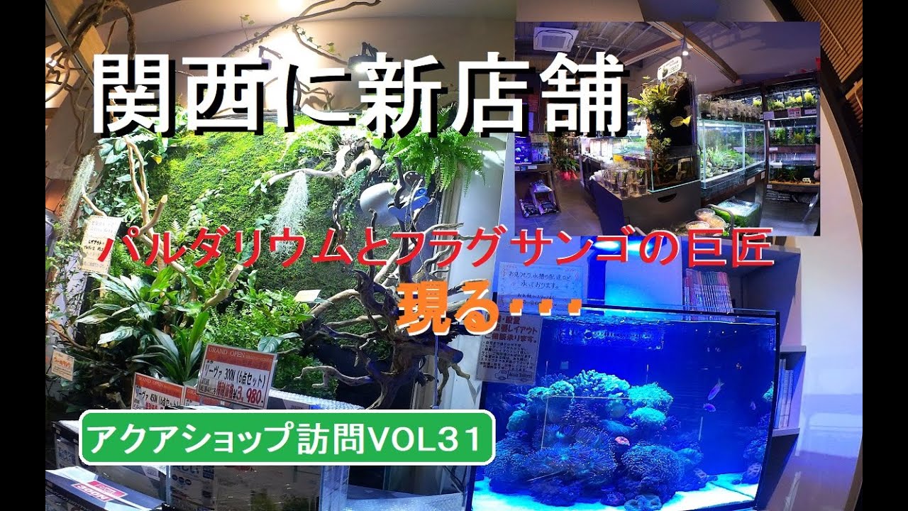 アクアショップ新店舗テイラーズ松井山手店！[VOL-31]