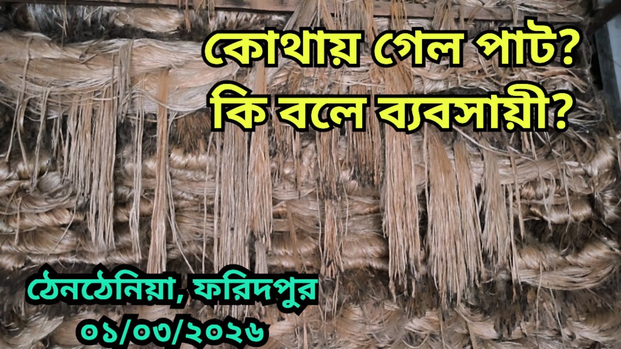 01.03.2026 কোথায় গেল পা‌ট? কি ব‌লে ব‌্যবসায়ী? Jute Price Today | pater bazar| Faridpur.