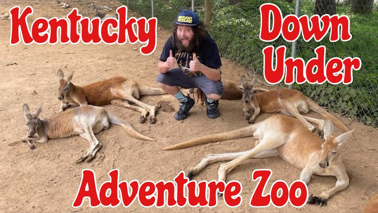 Kentucky Down Under Adventure Zoo | Mammoth Onyx Cave Tour - Full Tour