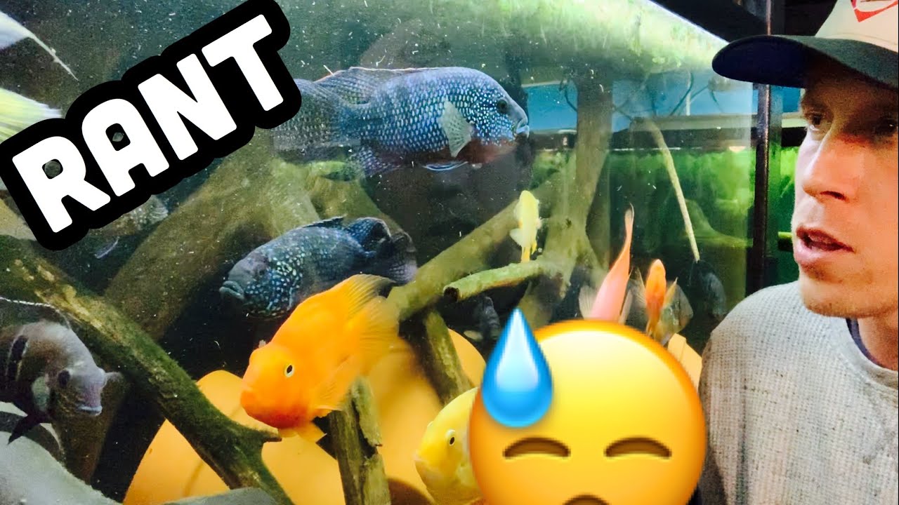 Джек Демпси Рыба с другой рыбой?