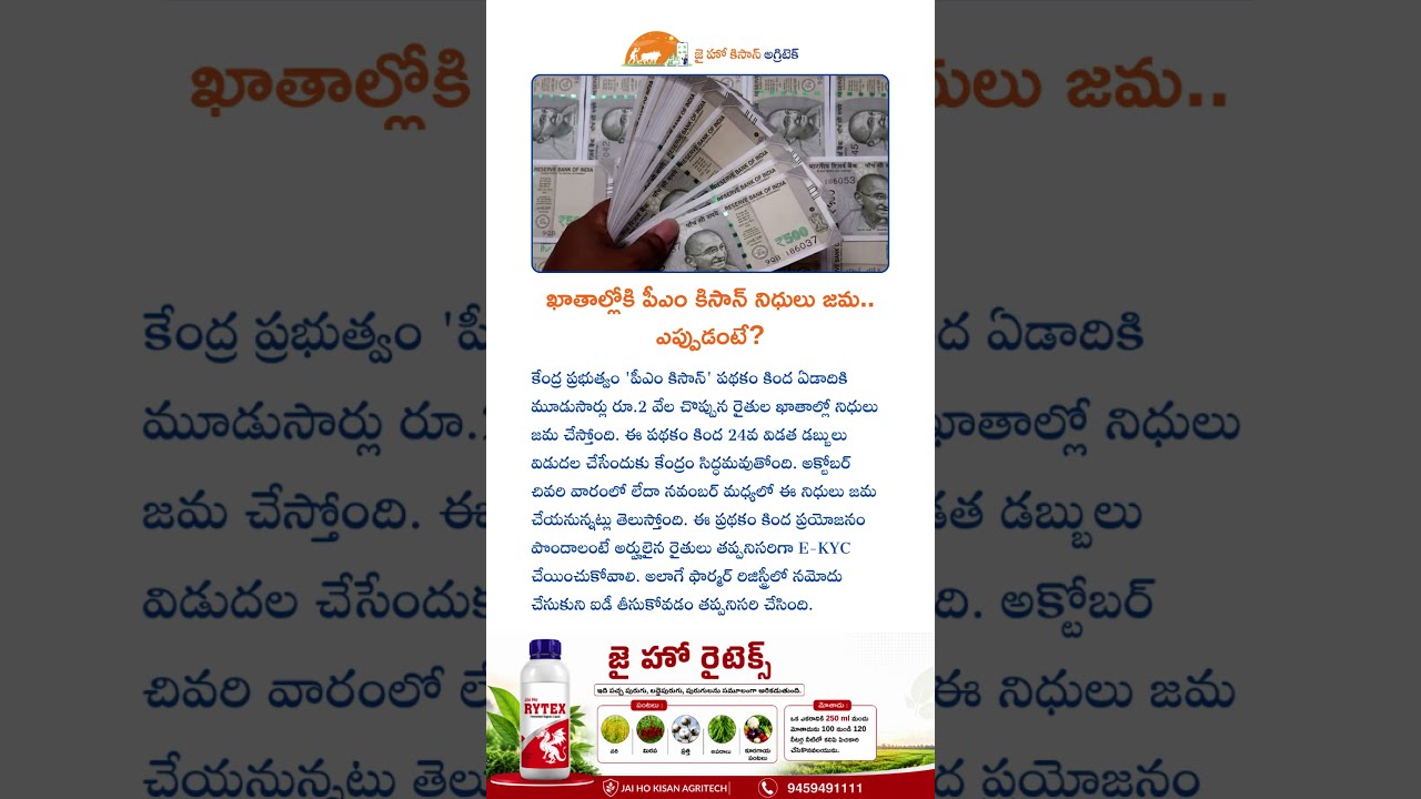 PM Kisan 24వ విడత ఎప్పుడంటే? ₹2,000 కోసం రైతులు ఈ పనులు తప్పనిసరిగా చేయాలి! #jaihokisan #farming