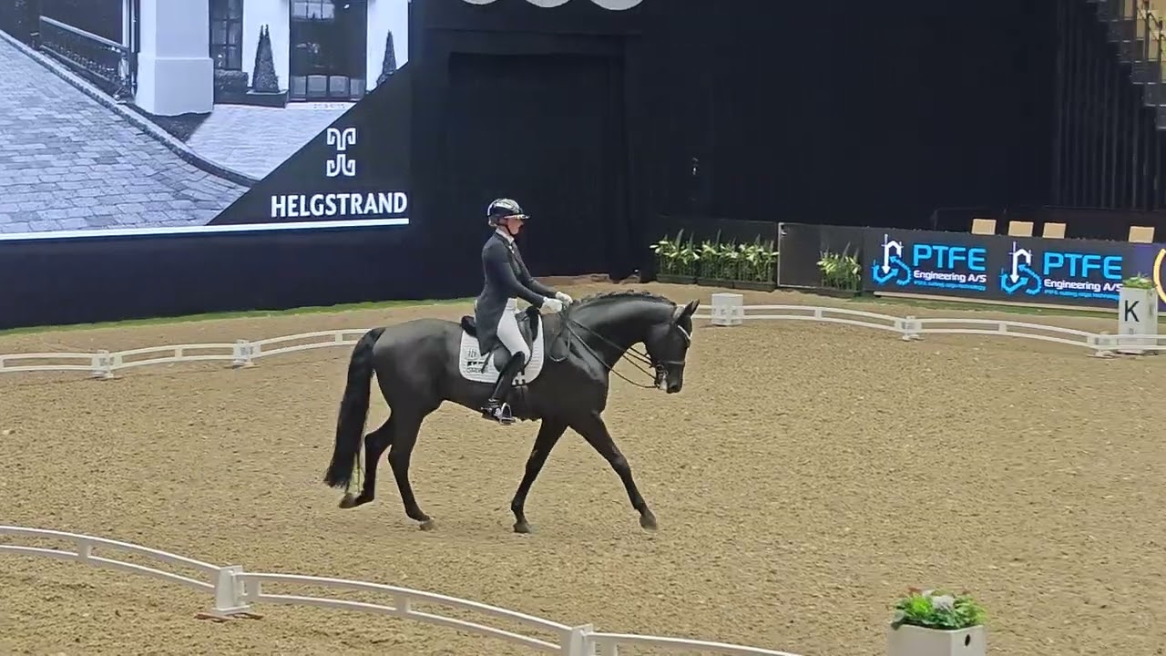 Leonie Richter & Lord Europe, GP special, CDI3*, 70,195%