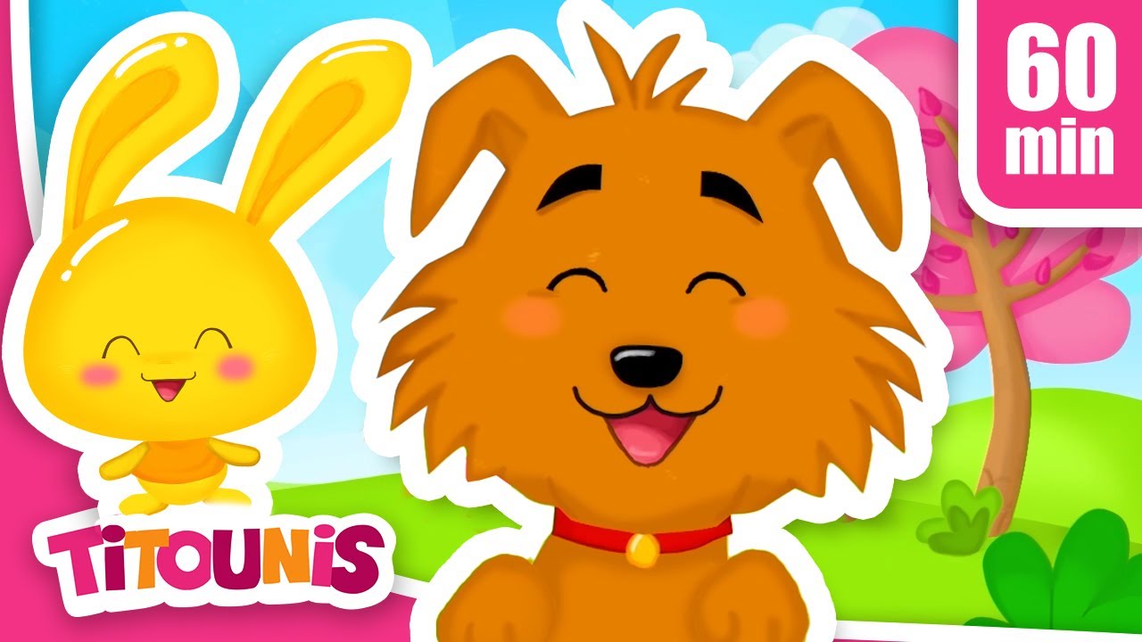Le chien - Chanson Enfant