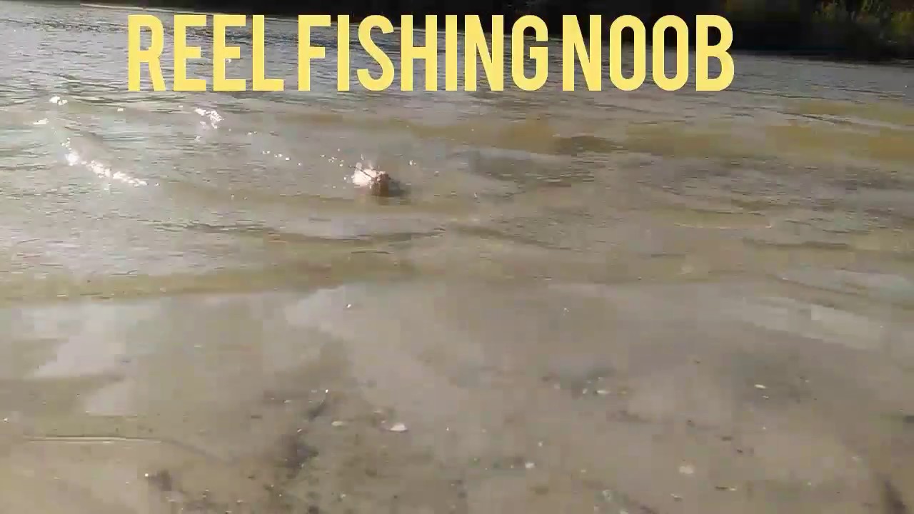 Saint Lucie Canal Catfishing!