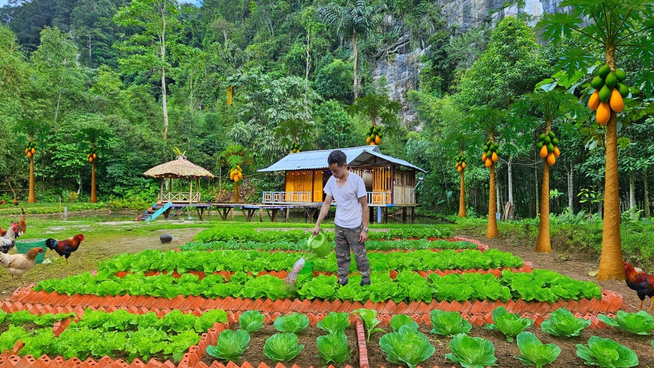 CEO left the city for the forest. became a farmer growing vegetables and raising fish. free life