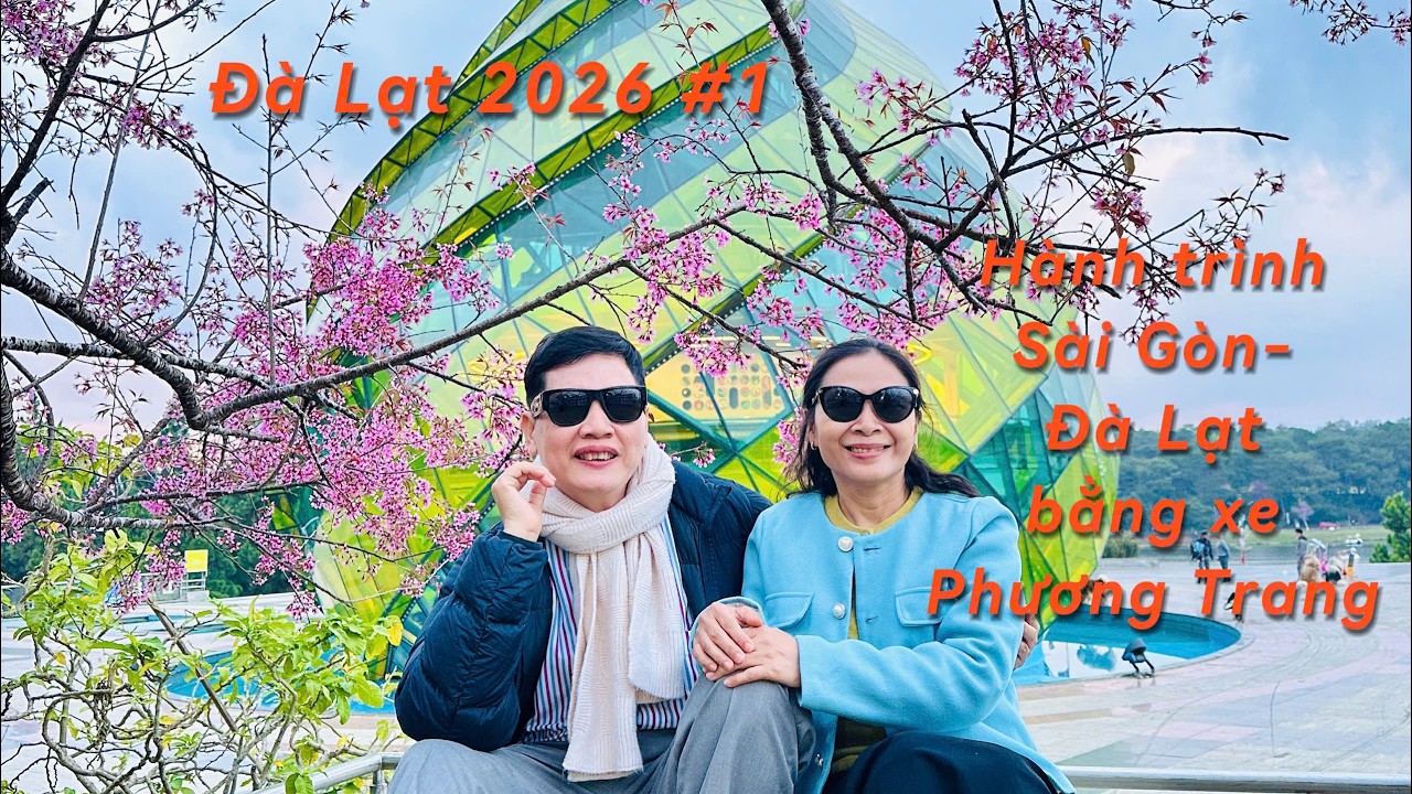 Hành trình Sài Gòn - Đà Lạt ngắm hoa Mai Anh Đào bằng xe Phương Trang - Đà Lạt 2026 P1