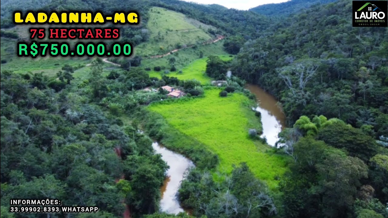 ✨️FAZENDA 15 ALQUEIRES REGIÃO POTE-MG VÍDEO ATUALIZADO COM DRONE✨️