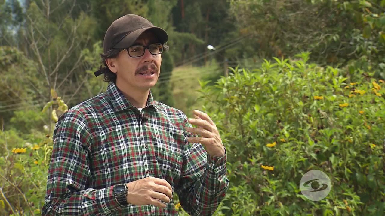 Requerimientos nutricionales para cabras | La Finca de Hoy