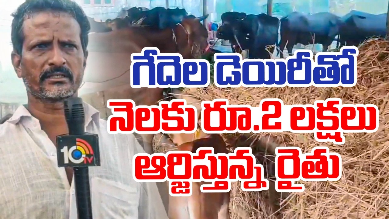 Farmer Success Story | Buffalo Dairy Farm | గేదెల డెయిరీతో నెలకు రూ. 2 లక్షలు ఆర్జిస్తున్న రైతు