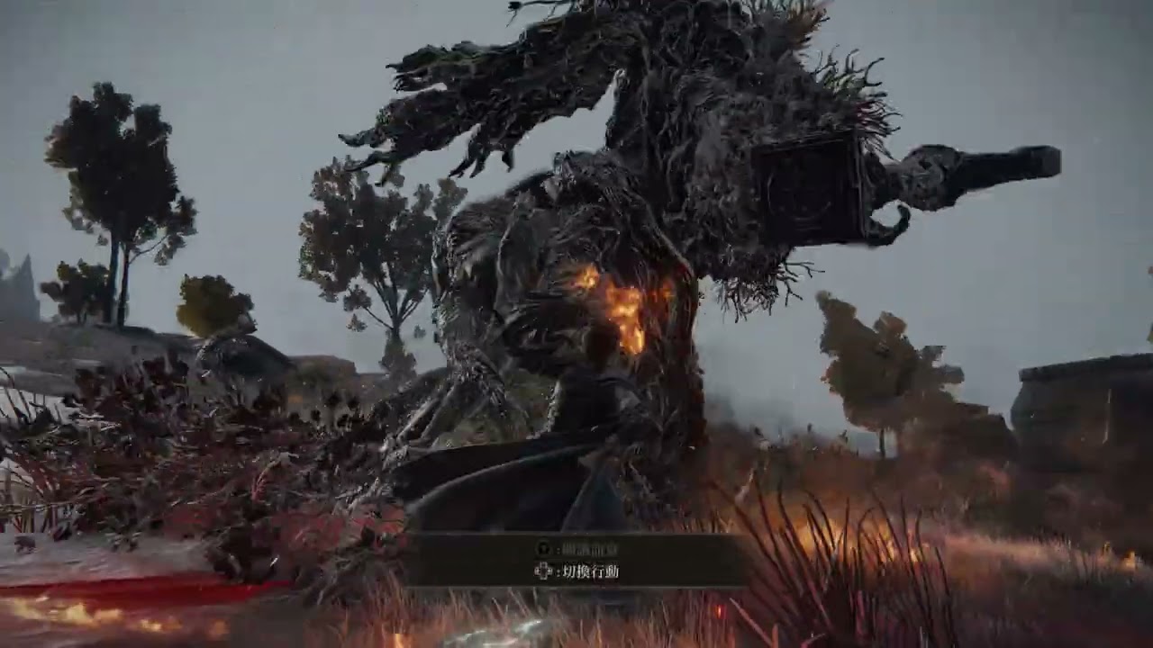 Elden Ring: Try to ack like a pro director