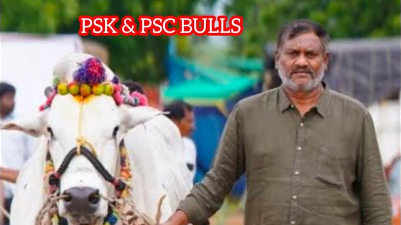 2026కంది బండ 💥  న్యూ కేటగిరి 6 పుచ్చకాయల శేషాద్రి చౌదరి గారు