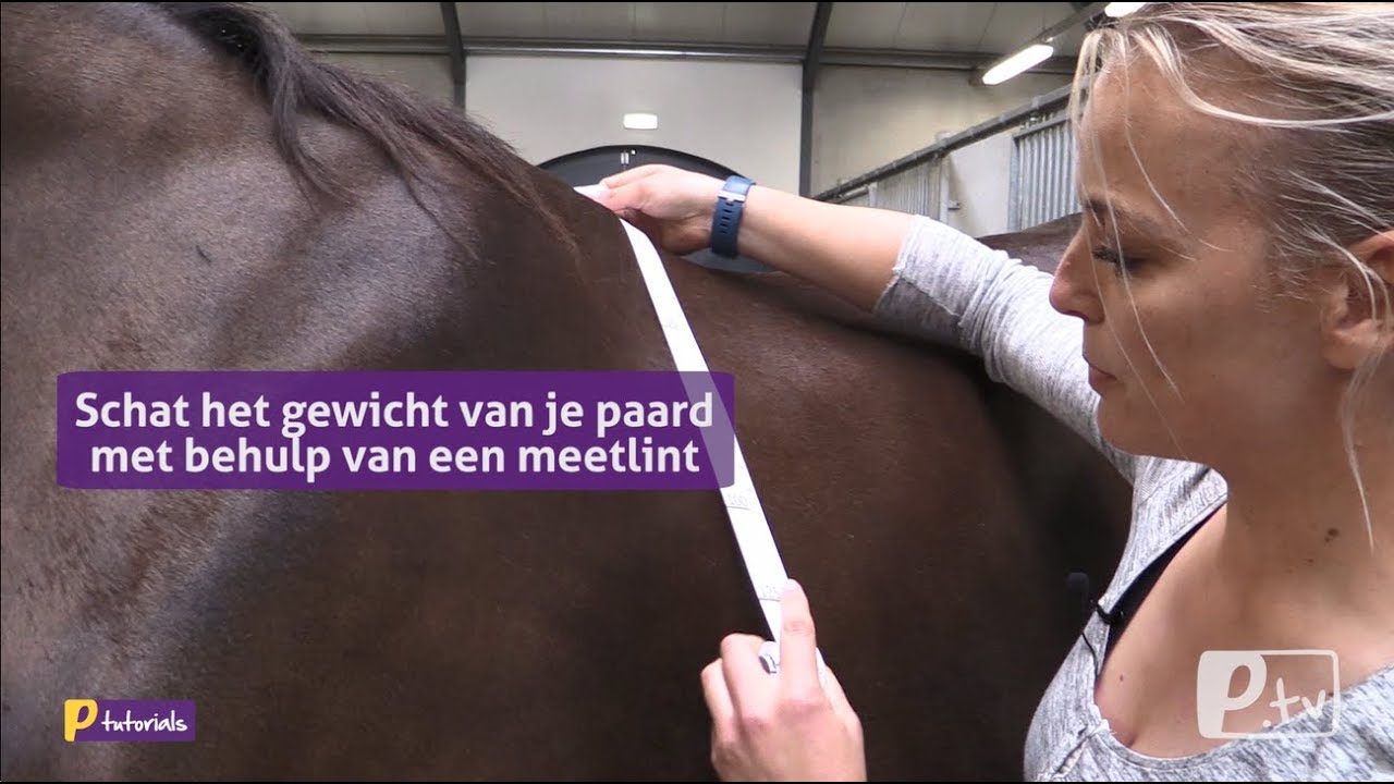 Instructievideo | Bepaal het gewicht van je paard met een gewichtsmeetlint