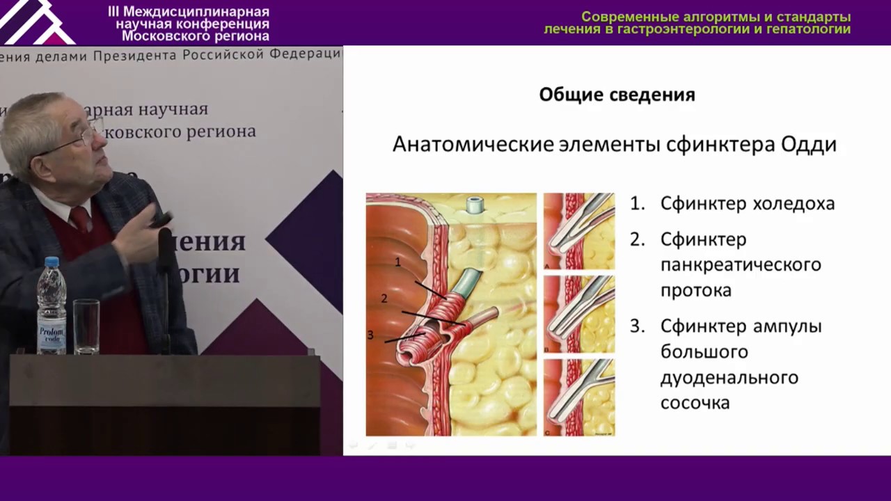 Билиарная дисфункция в свете рекомендаций Рим IV: диагностика, лечение