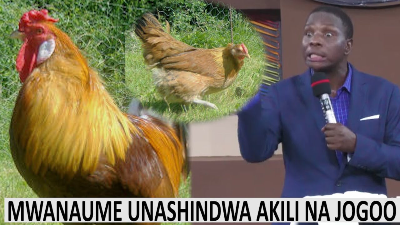 MWANAUME JOGOO AMEKUSHINDA AKILI HUWEZI HATA KUMTUNZA MKEO SAWA SAWA 