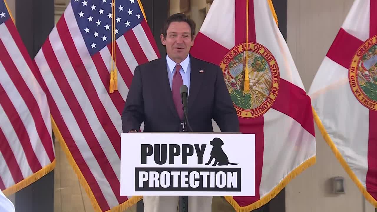Gov. DeSantis speaks at Big Dog Ranch Rescue in Loxahatchee