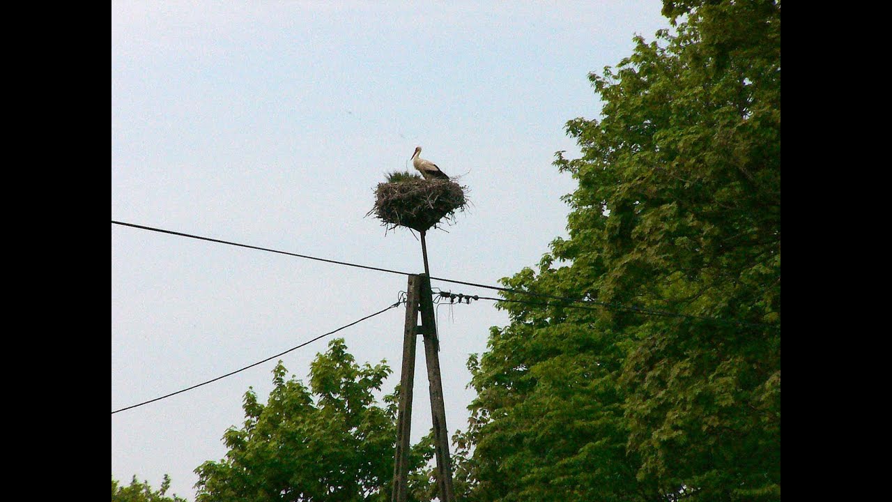 2005 Urlaub in Polen (Pommern) Garder- u. Lebasee, Klein u. Gross Garde, Gardna Wielka u. Male