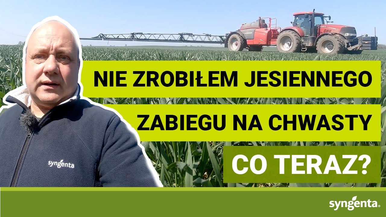 Nie zrobiłem zabiegu na chwasty jesienią! Co teraz? | Łęczyna | AvoxaPak
