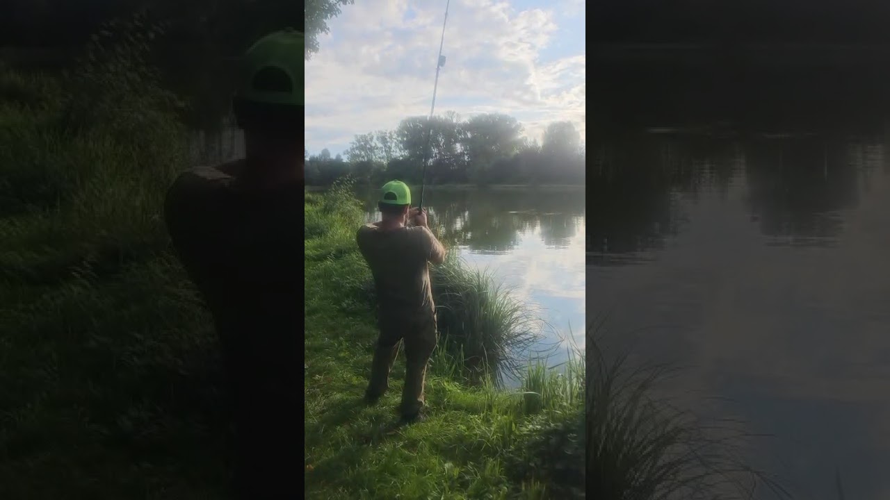 MI-A TREMURAT MÂNA! 😱 Somn uriaș scos din rădăcini (Nu credeam că vine!)