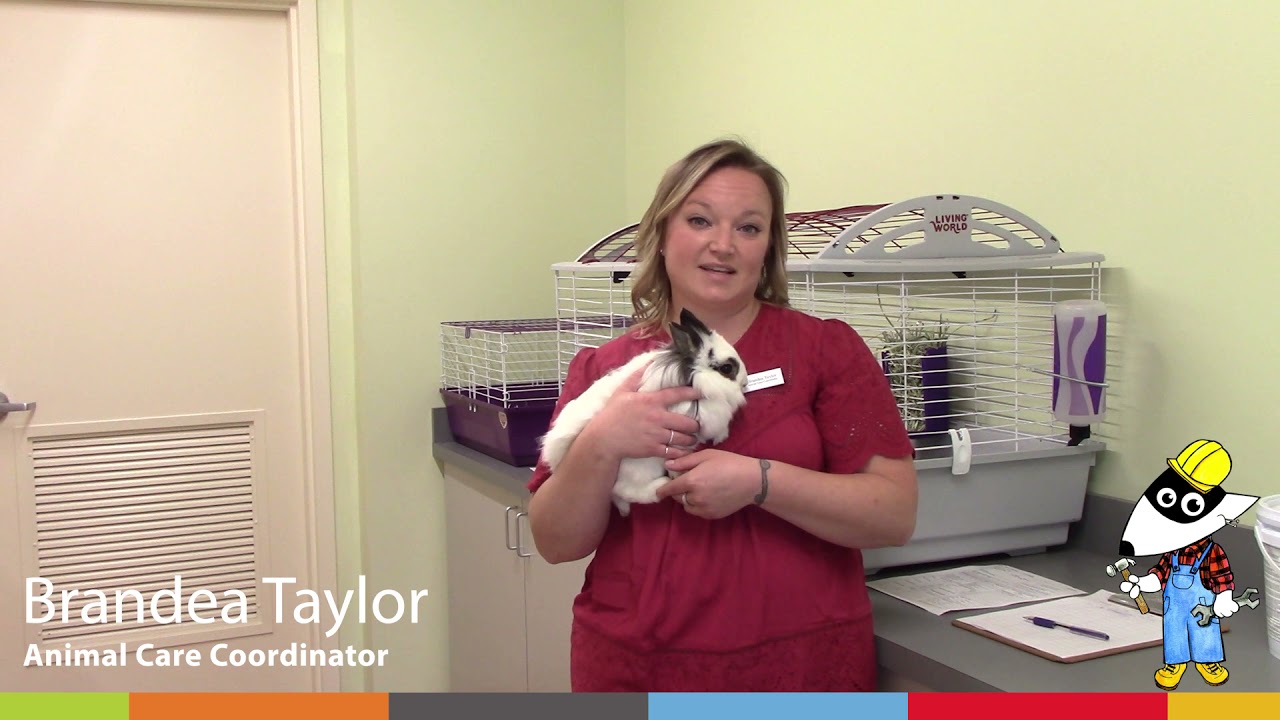 Brandea Taylor | Animal Adoptions at The Freedom Center for Animal Life-Saving