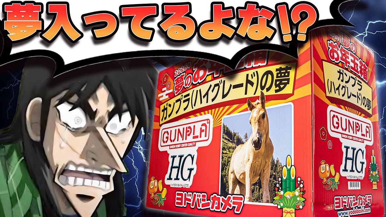 史上最高の競争倍率！超人気福袋！ヨドバシカメラ夢のお年玉箱「ガンプラの夢」【福袋開封】