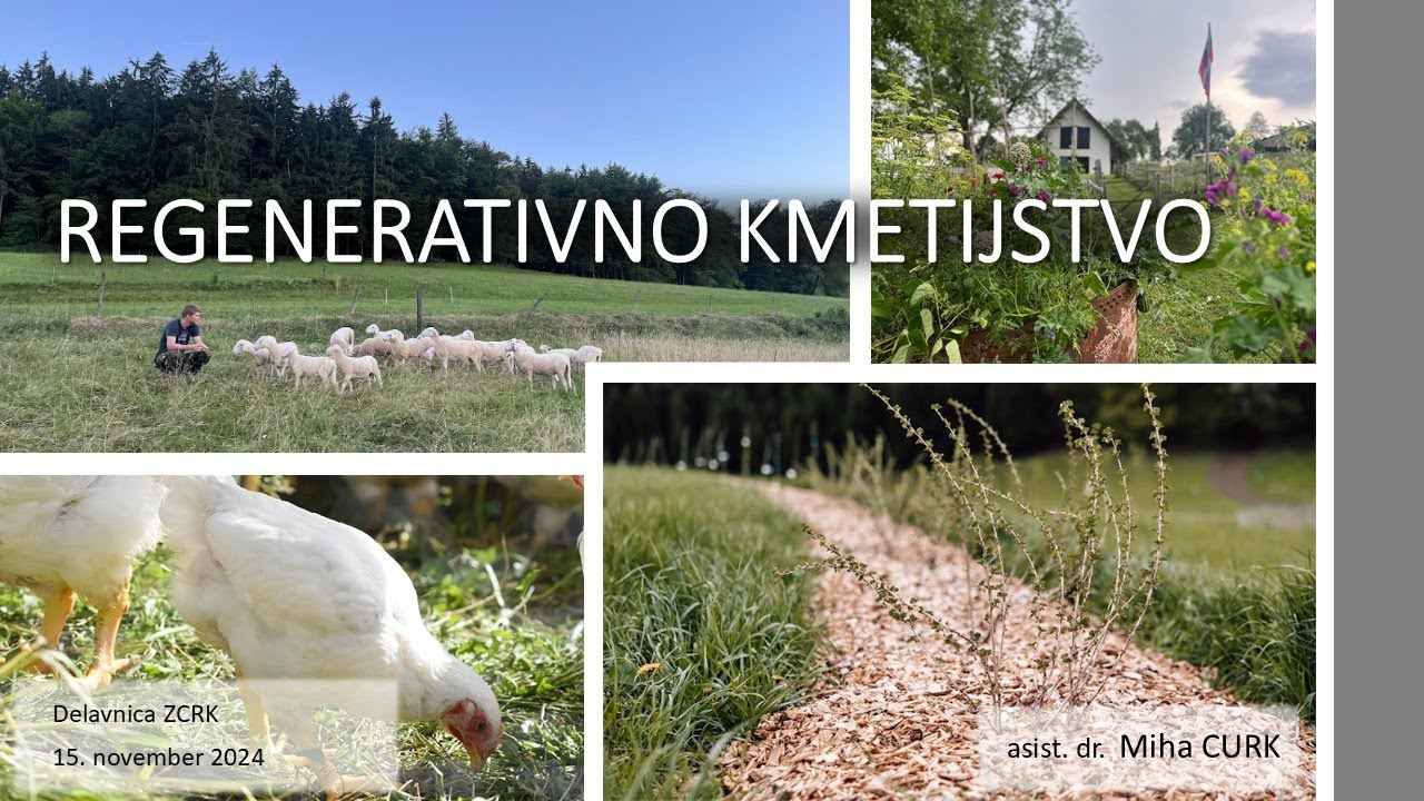 Regenerativno kmetijstvo - kaj je to?