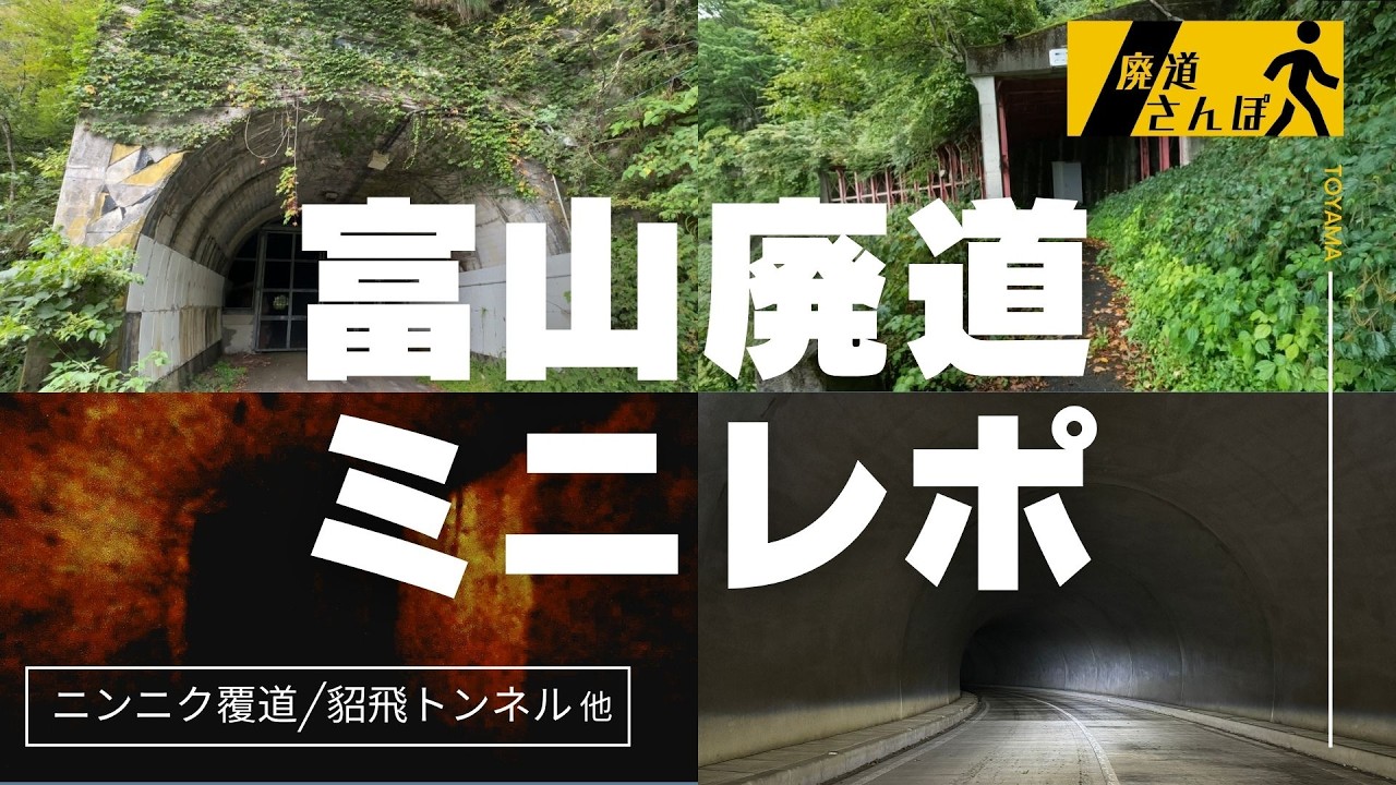 【廃道】富山市探索ミニレポ(ニンニク覆道他)