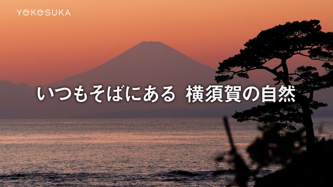 いつもそばにある 横須賀の自然（よこすかMOVIE）