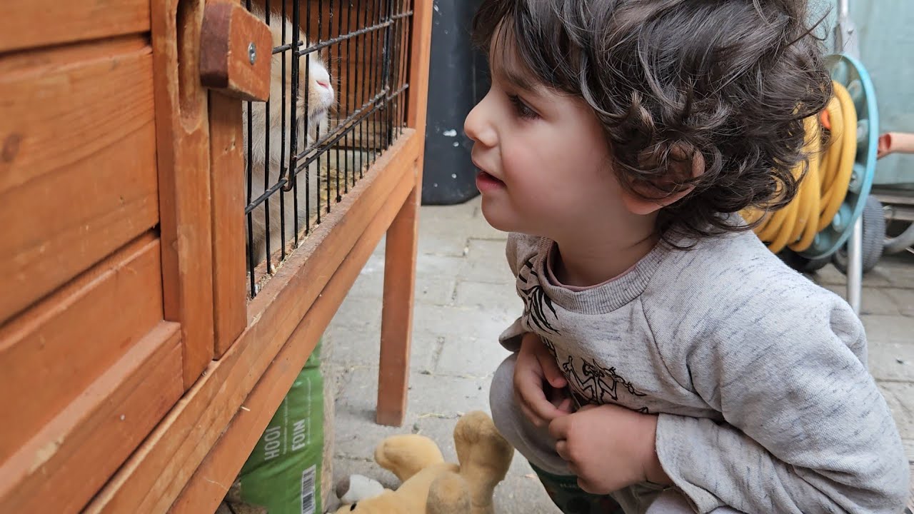 Going back to nature with 6 children, village life in Belgium