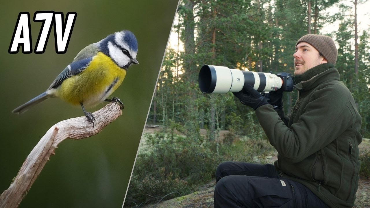 Фотоаппарат Sony A7V - Фотосъемка птиц в полевых условиях