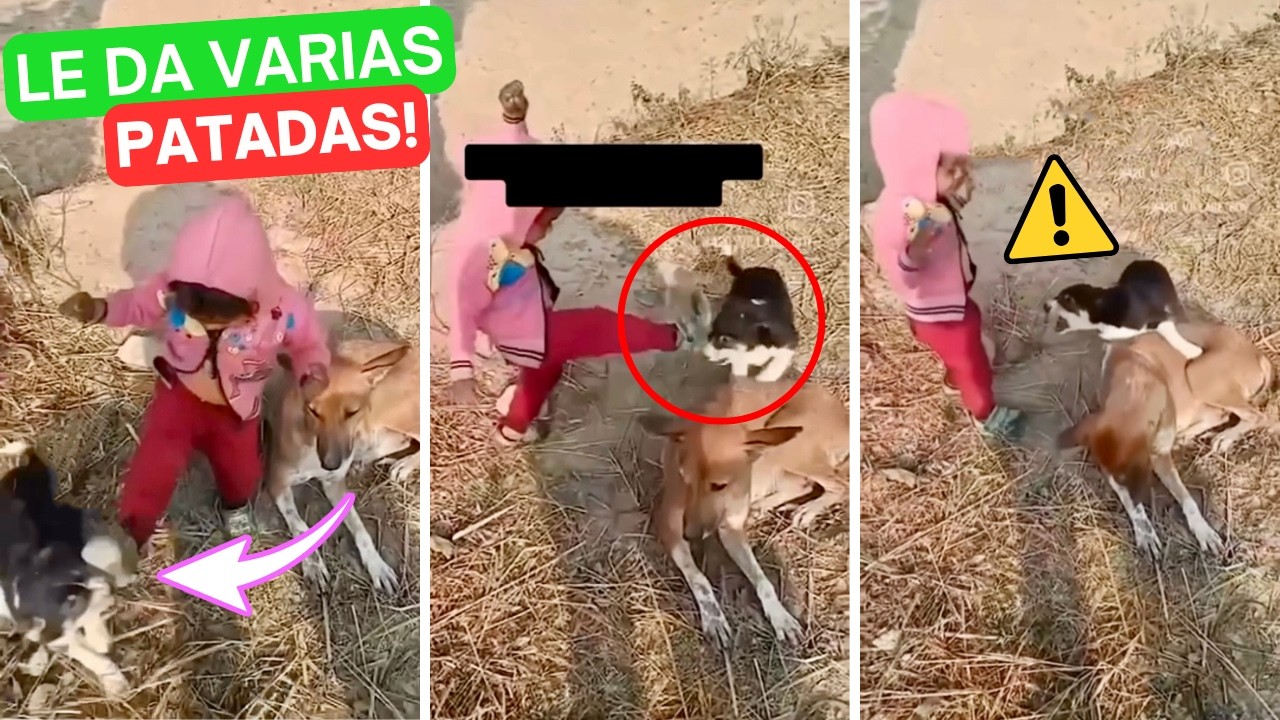 NIÑA pequeña le da varias PATADAS a un CACHORRO y MIRA lo que pasó 😧