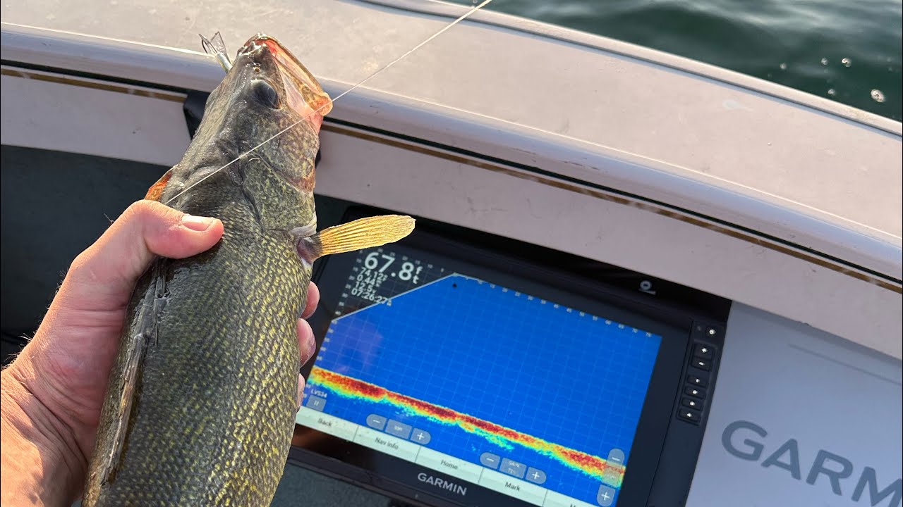 Lake Erie Livescope Limit (2024)