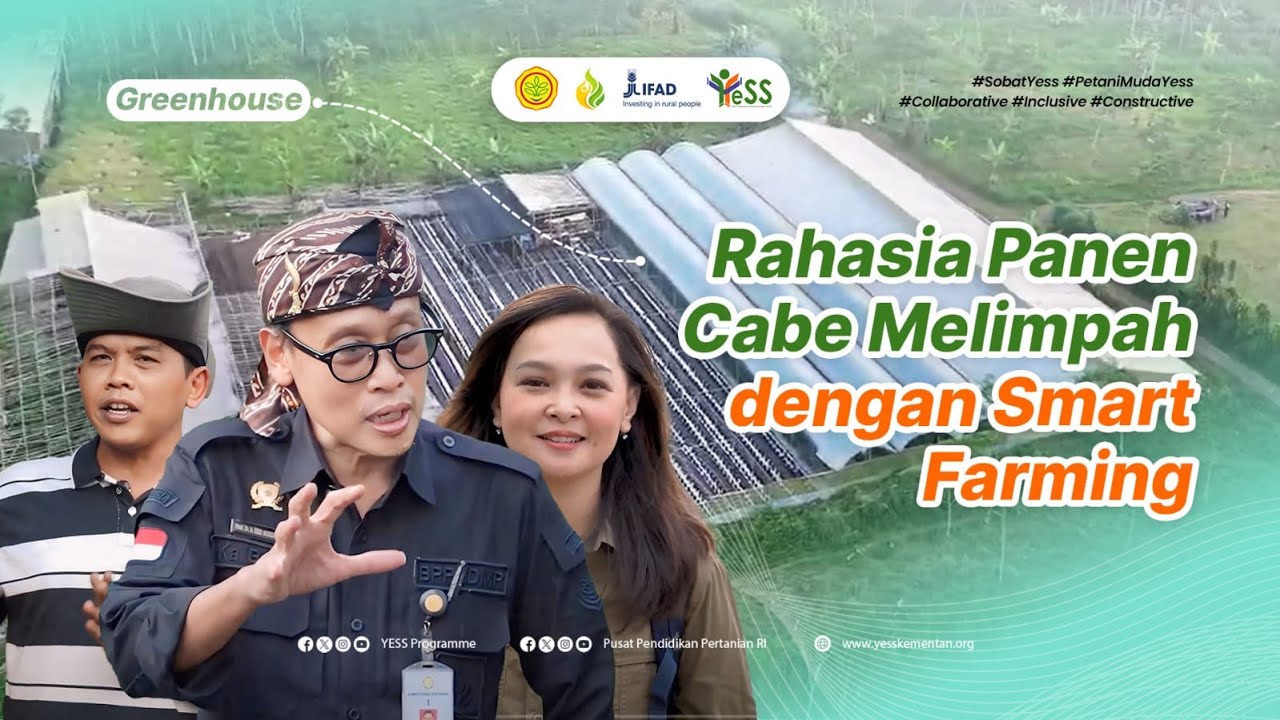 Rahasia Panen Cabe Melimpah dengan Smart Farming - YESS Programme