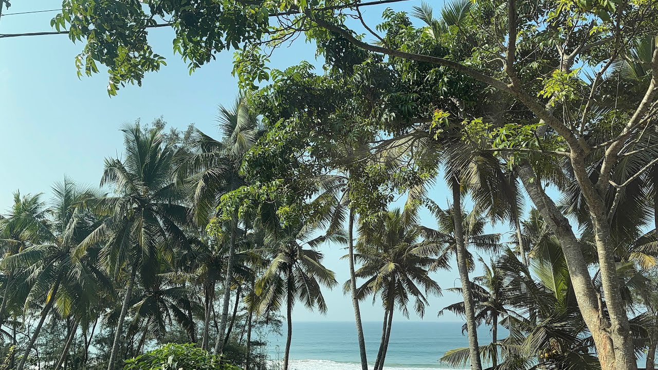 Our first long vlog & a trip to Kerala that felt like therapy!!! #trending #nature #kerala #travel 