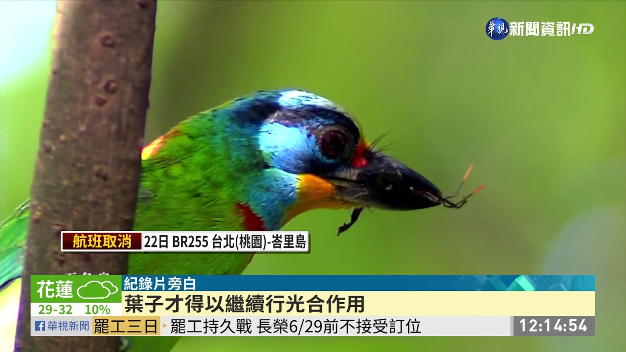 歷時2年影像記錄 