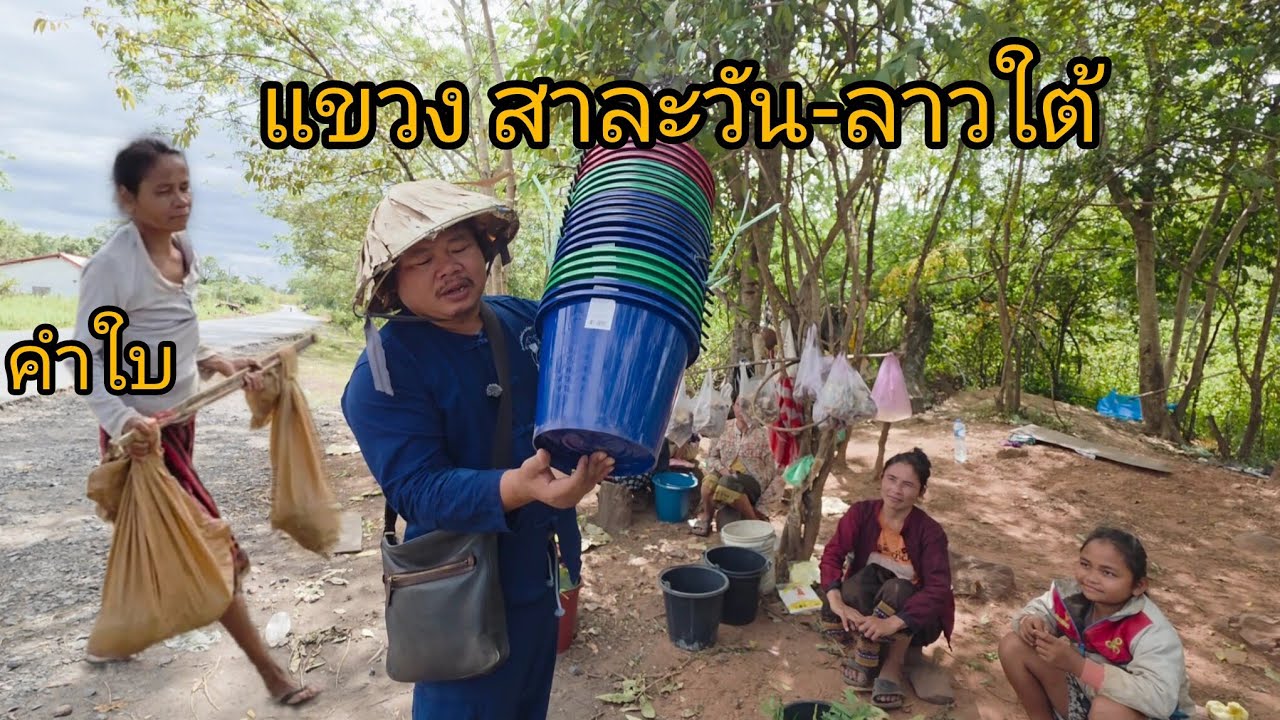 #เที่ยวลาวใต้ ตั้งใจไปหาคำใบ คนหาบบักหุ่งวิ่งหนี #บรรยากาศการเดินทาง#วิถีชาวบ้าน#แขวงสาละวัน #สปปลาว