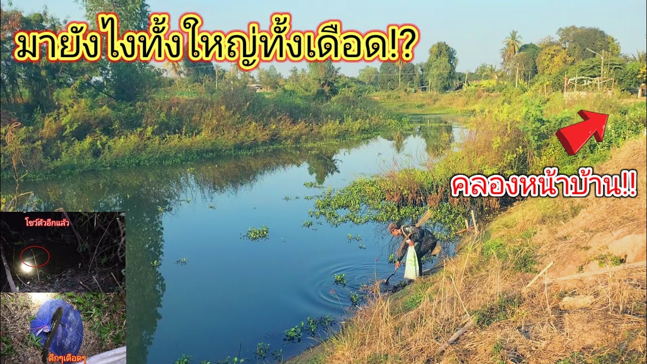 ปลาใหญ่สุดเดือด!!ทดลองปักเบ็ดคลองหน้าบ้านไม่คิดว่าจะมีปลาใหญ่ซ่อนอยู่เยอะขนาดนี้