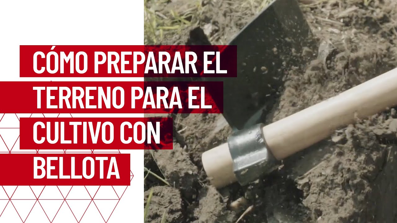 Cómo preparar el terreno para el cultivo Bellota Herramientas