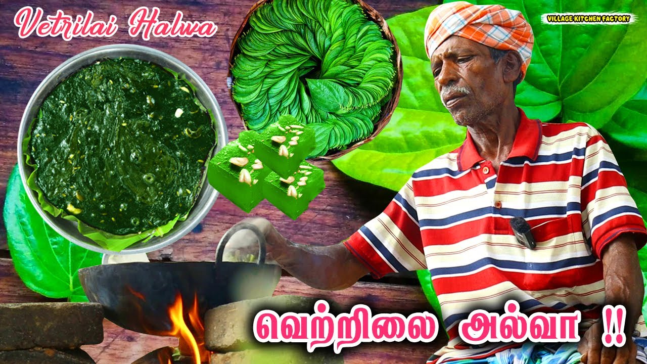 மருத்துவம் குணம்கொண்ட வெற்றியிலை அல்வா | Betel Leaves Halwa Recipe | VILLAGE KITCHEN FACTORY