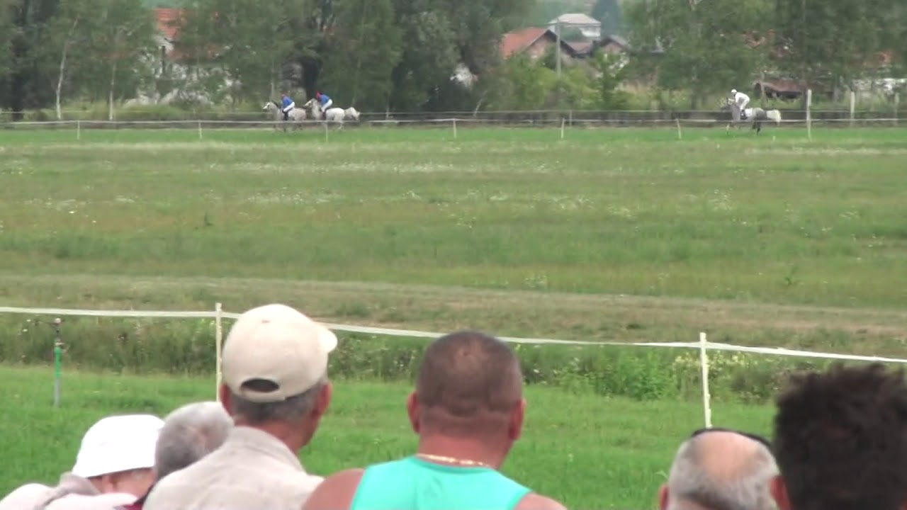 1 Trka Araberi 1200m- Bihac 19.8.2017