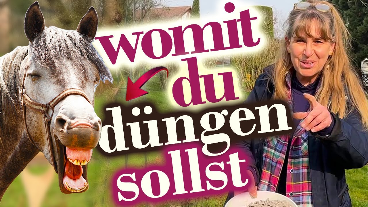SO gedeihen die schönsten ROSEN: Rosenbeete organisch vorbereiten - Erde pflegen & düngen