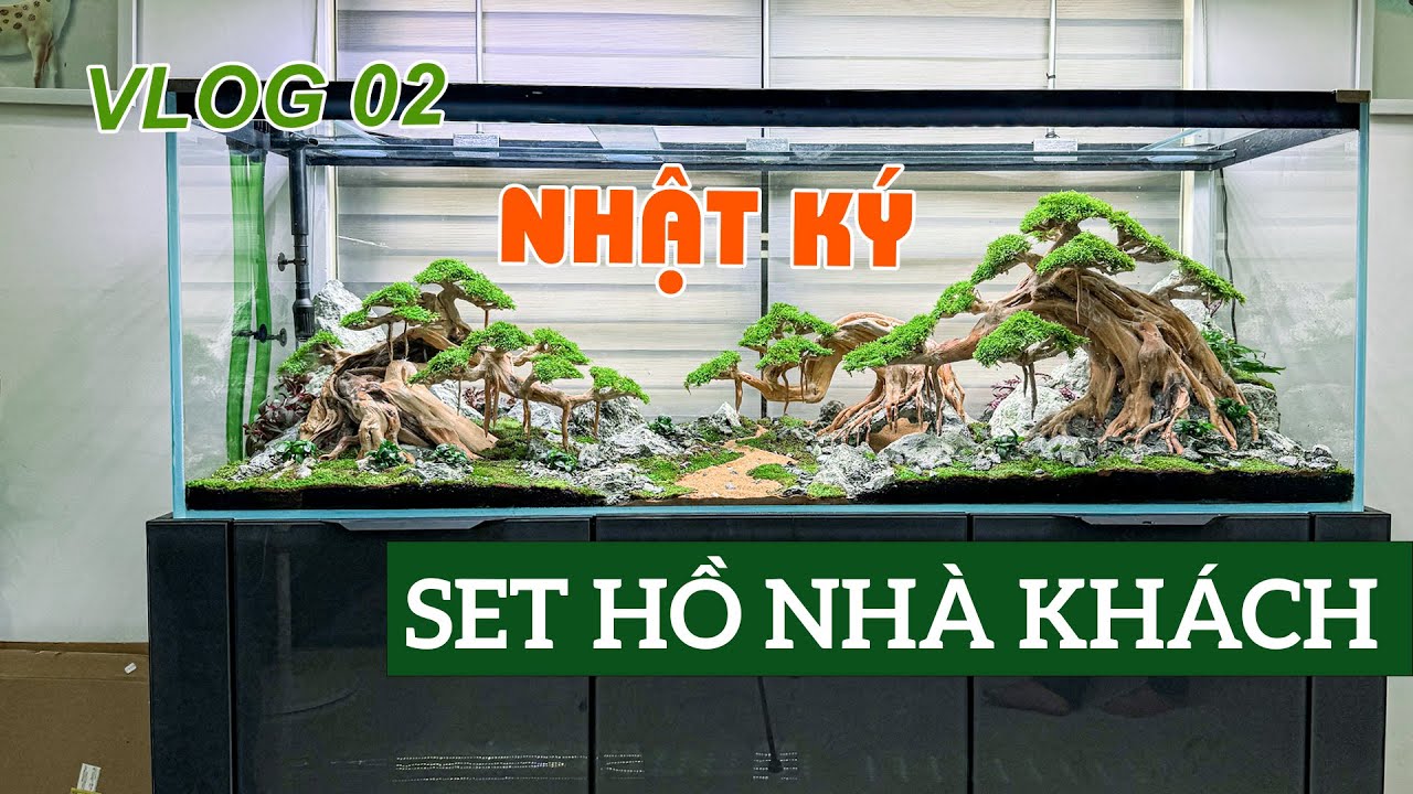 8 Giờ SETUP hồ thuỷ sinh Bonsai TUYỆT ĐẸP cùng học viên  | KIẾN THỨC & KINH NGHIỆM & TRẢI NGHIỆM