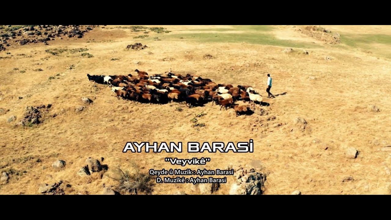 Ayhan   Barasi  Veyvike    (Official Video 2020 )
