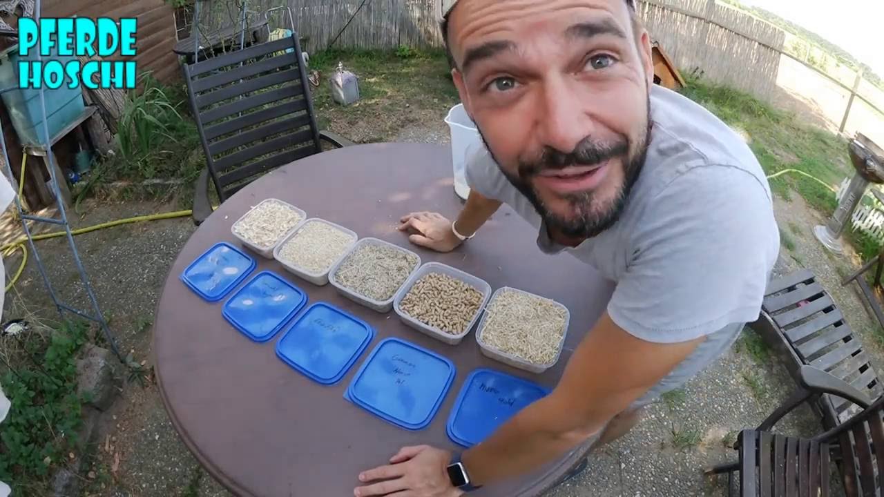 Einstreu spezial   Härte Test   Pferde Hoschi