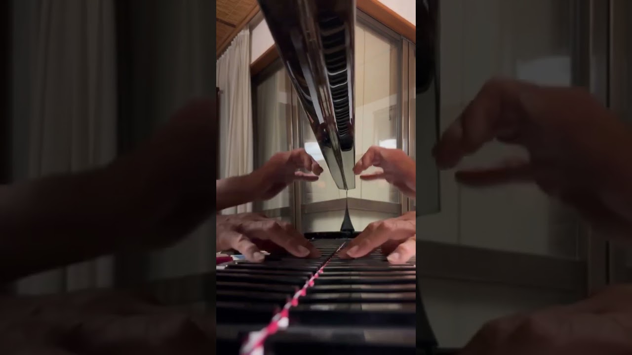 L.V.Beethoven : All Moonlight Sonata 8th (Final)recording