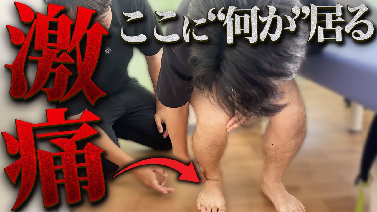 「ここに何か居る…」慢性的な足首と股関節の痛みを整体で救う！【悶絶】