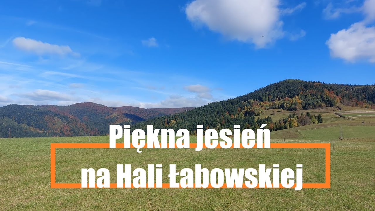 Z Łomnicy Zdrój na Halę Łabowską - jesień