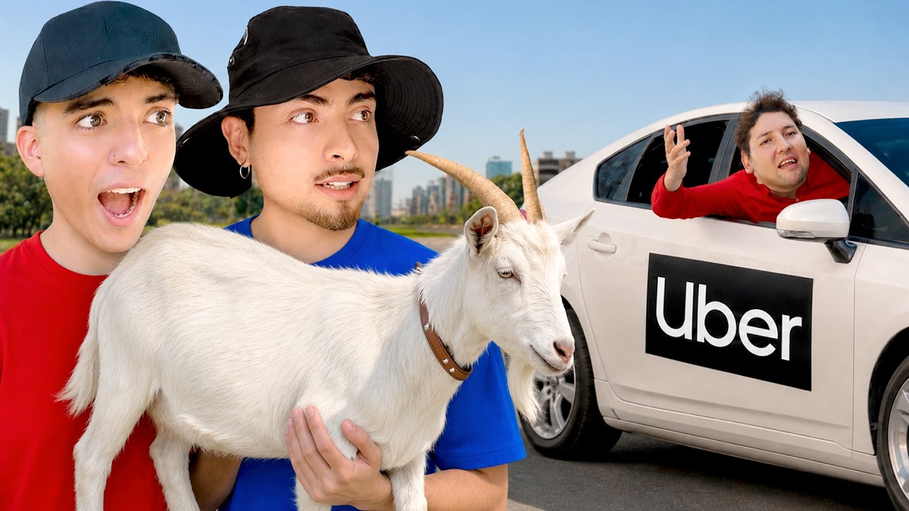 Probamos lugares &ldquo;PET FRIENDLY&rdquo; con ANIMALES EX&Oacute;TICOS 😅
