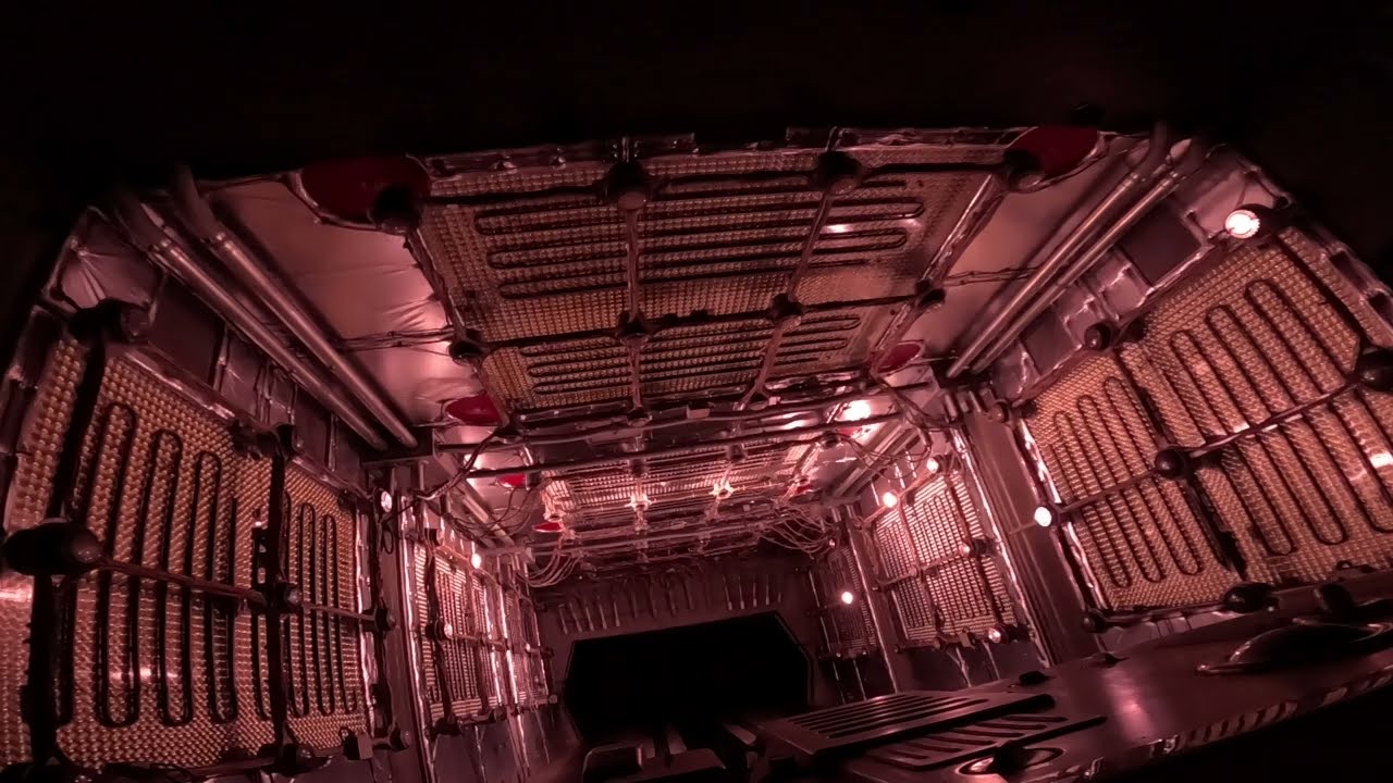 Dinosaur POV