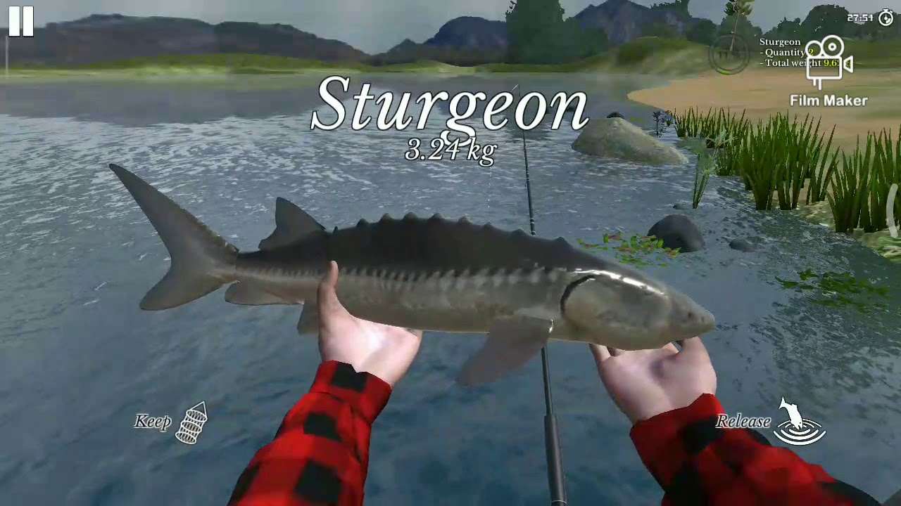 Catching 5.7kg Sturgeon!!! Ultimate Fishing Simulator Android